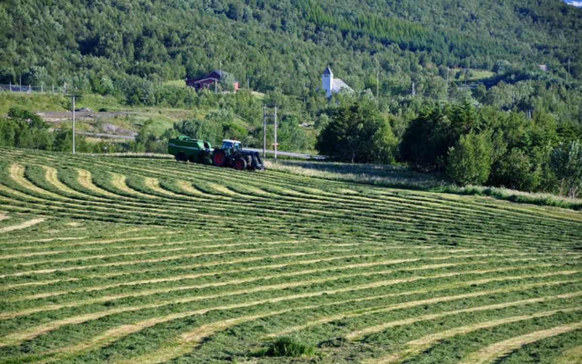 Bønder må ofte kjøre lange avstander for å høste leid jord. Prosjektet Landfrag skal prøve å redusere antall kilometer i traktoren. Foto: Marit Elise Solbakken