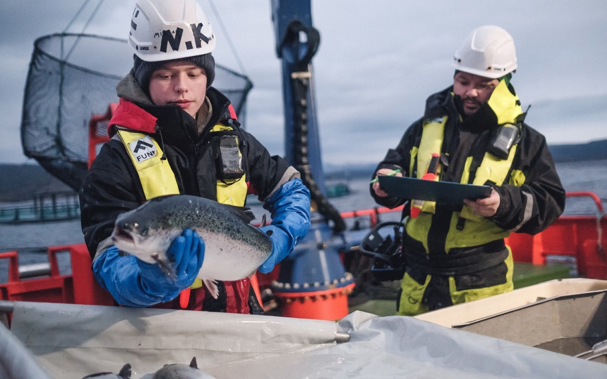 Lærling og instruktør i aksjon. Illustrasjonsfoto: Cermaq