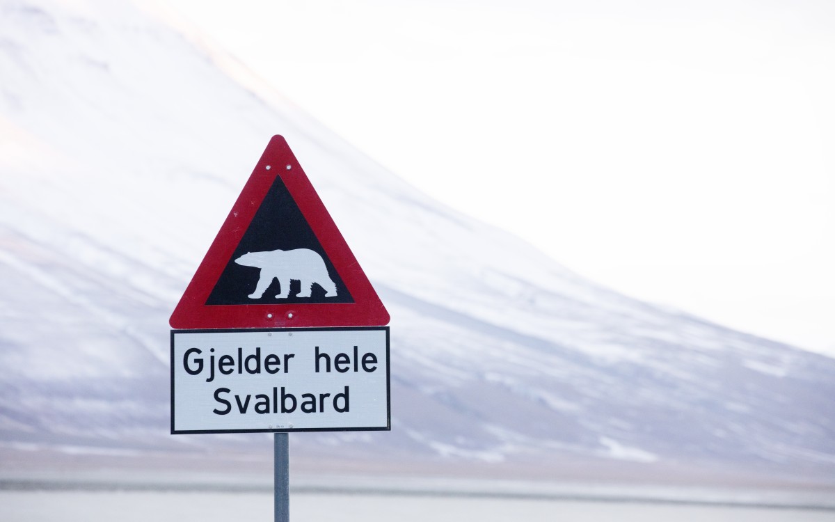 Longyerbyen, Svalbard svalbard, landscape, spitsbergen