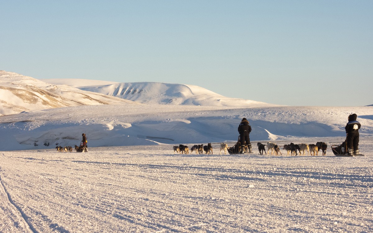 Hundekjøring på Svalbard. Foto: Håkon Daae Brensholm / Visit Svalbard / nordnorge.com