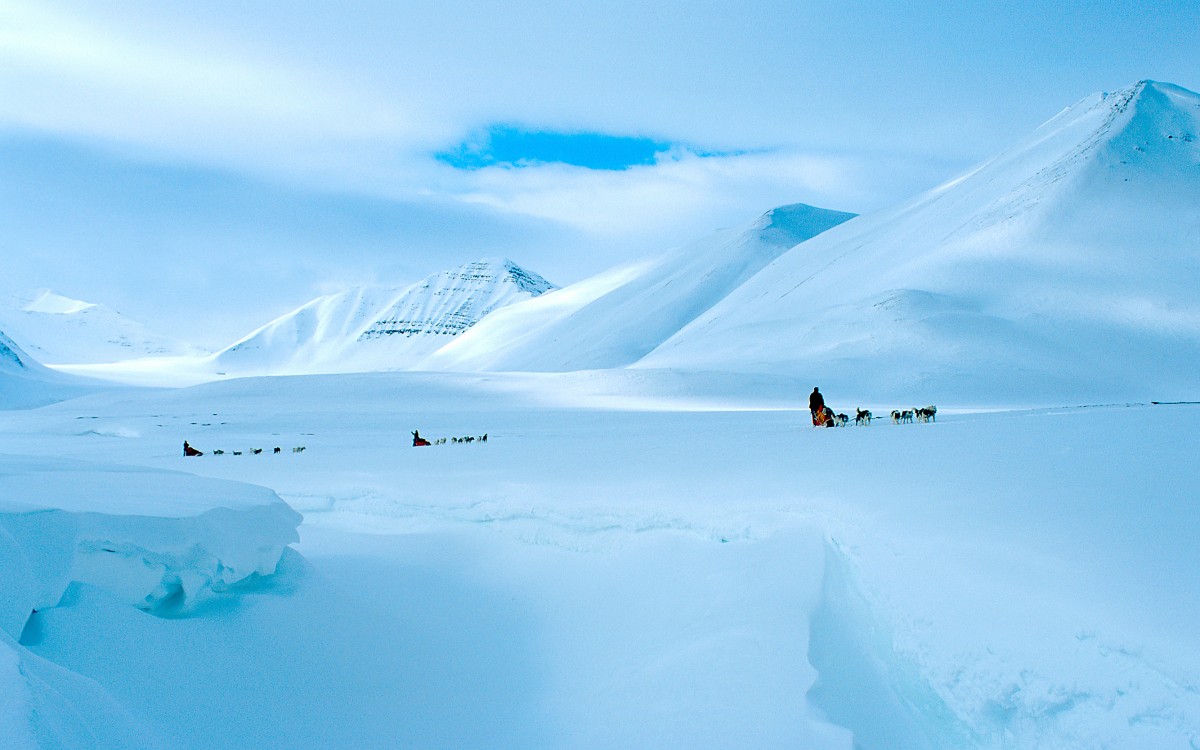 Svalbard 1 Svalbard 1