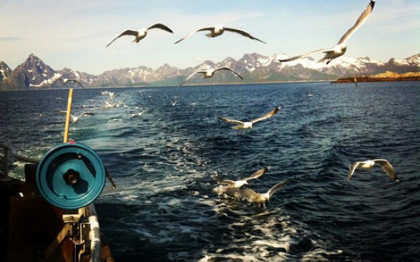 Ute på fiske. Foto: Karin Marie Antonsen