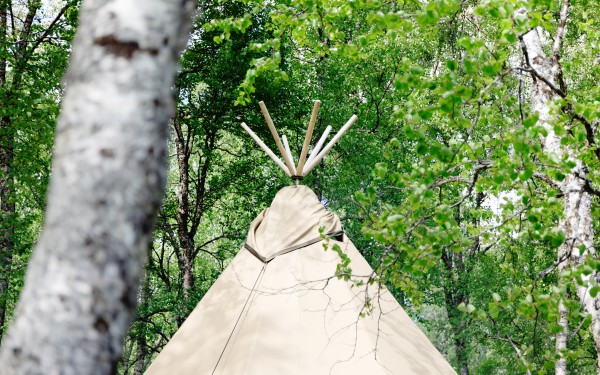  Lavvu (a traditional Sámi tent)