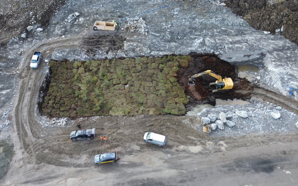 Myrflytt. Foto: Avinor