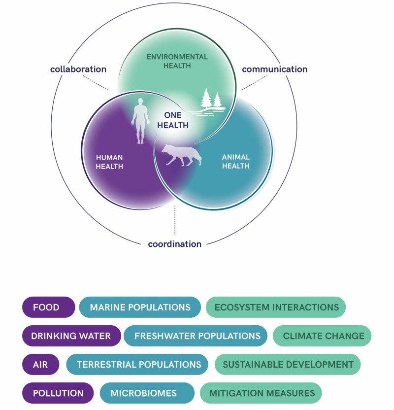 One Health framework