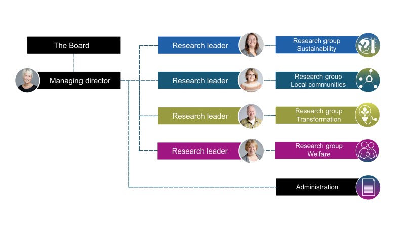 Organizational chart Organizational chart