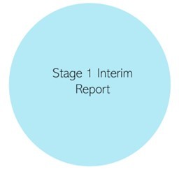 Stage 1 Interim Report