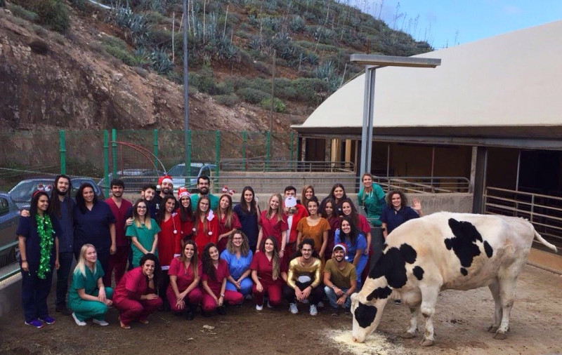 Unn - veterinærklassen på Granca. Foto: Privat Unn - veterinærklassen på Granca. Foto: Privat