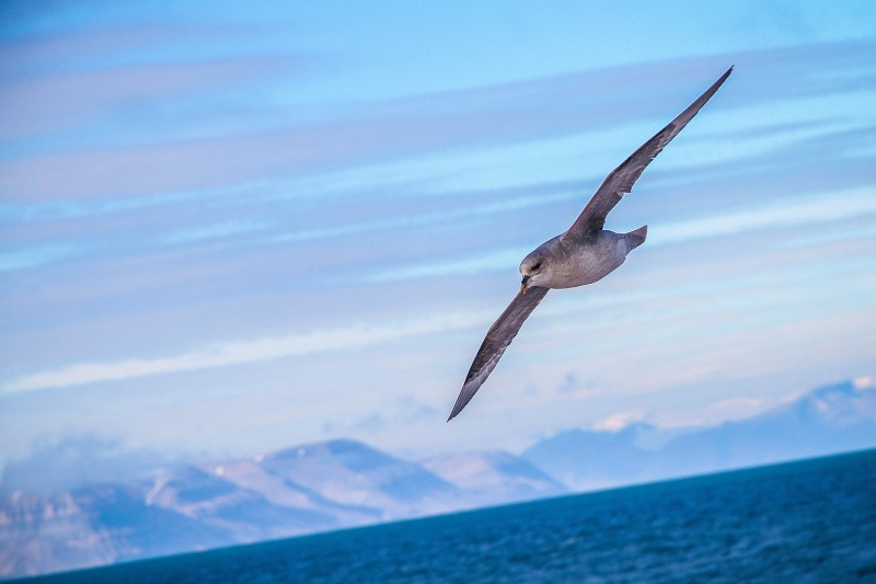 Foto: Vince GX / Unsplash Foto: Vince GX / Unsplash